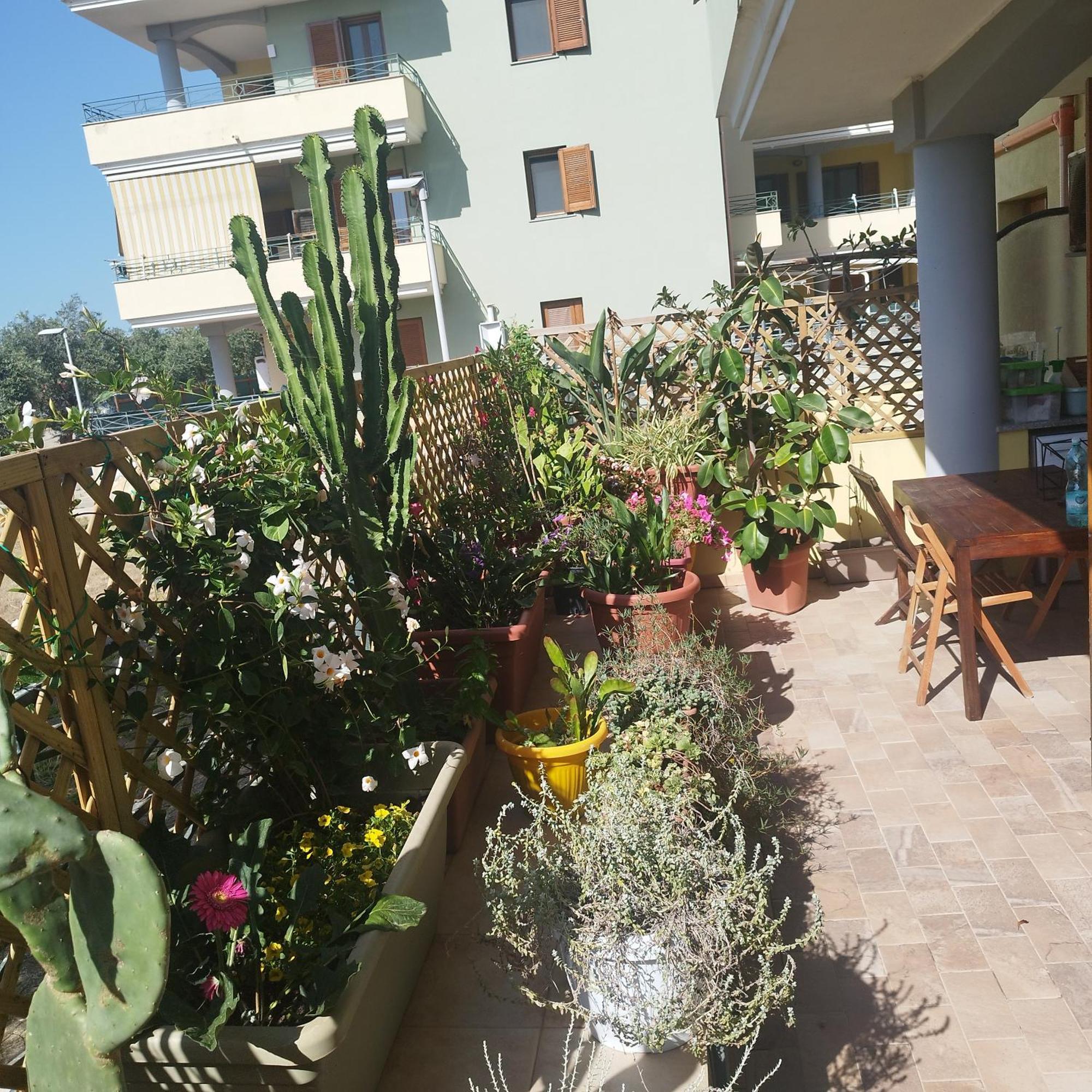 Alghero Lovely Flat Apartment Exterior photo